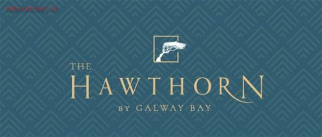 WHERE WILL YOU SHINE?, Situations Vacant