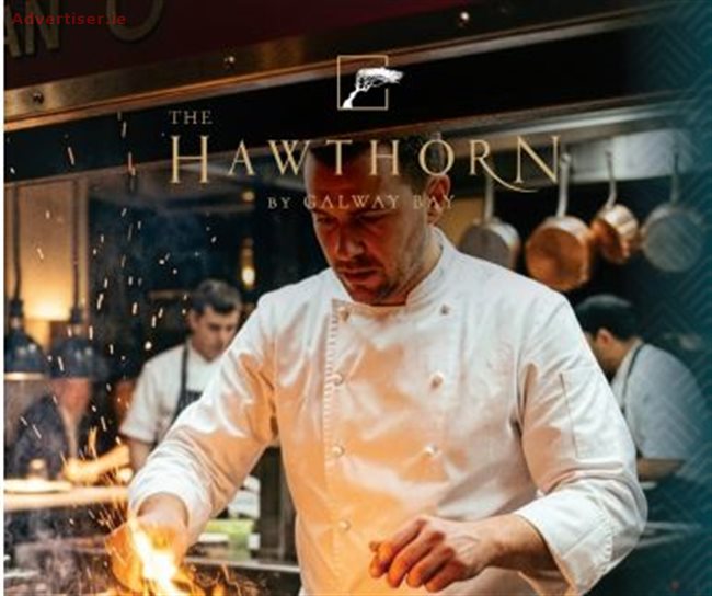 WHERE WILL YOU SHINE?, Situations Vacant