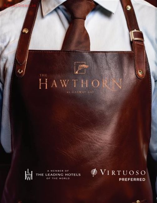 WHERE WILL YOU SHINE?, Situations Vacant