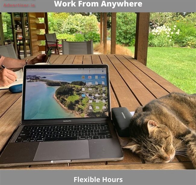 INCOME GENERATING E-COMMERCE STORE, Articles For Sale