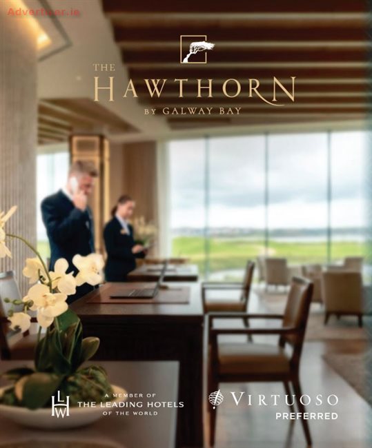 WHERE WILL YOU SHINE?, Situations Vacant